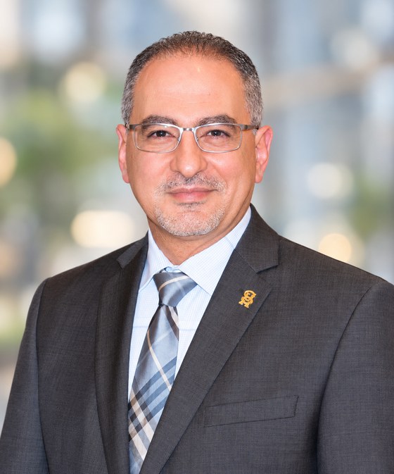 Professional portrait of Hosam Sheha, MD, PhD